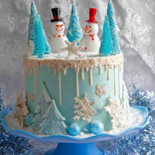 Winter Wonderland Cake