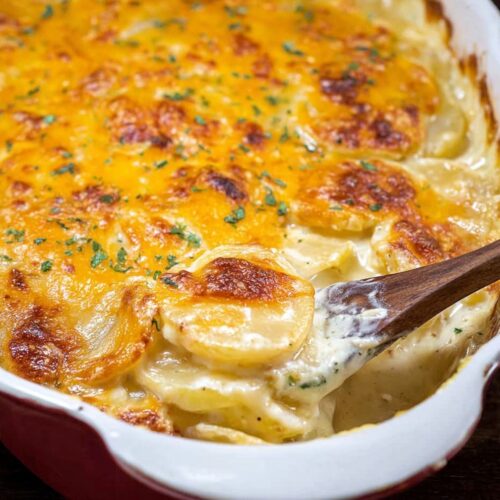 scalloped potatoes