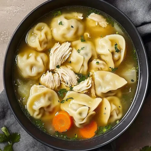 Chicken Noodle Dumpling Soup