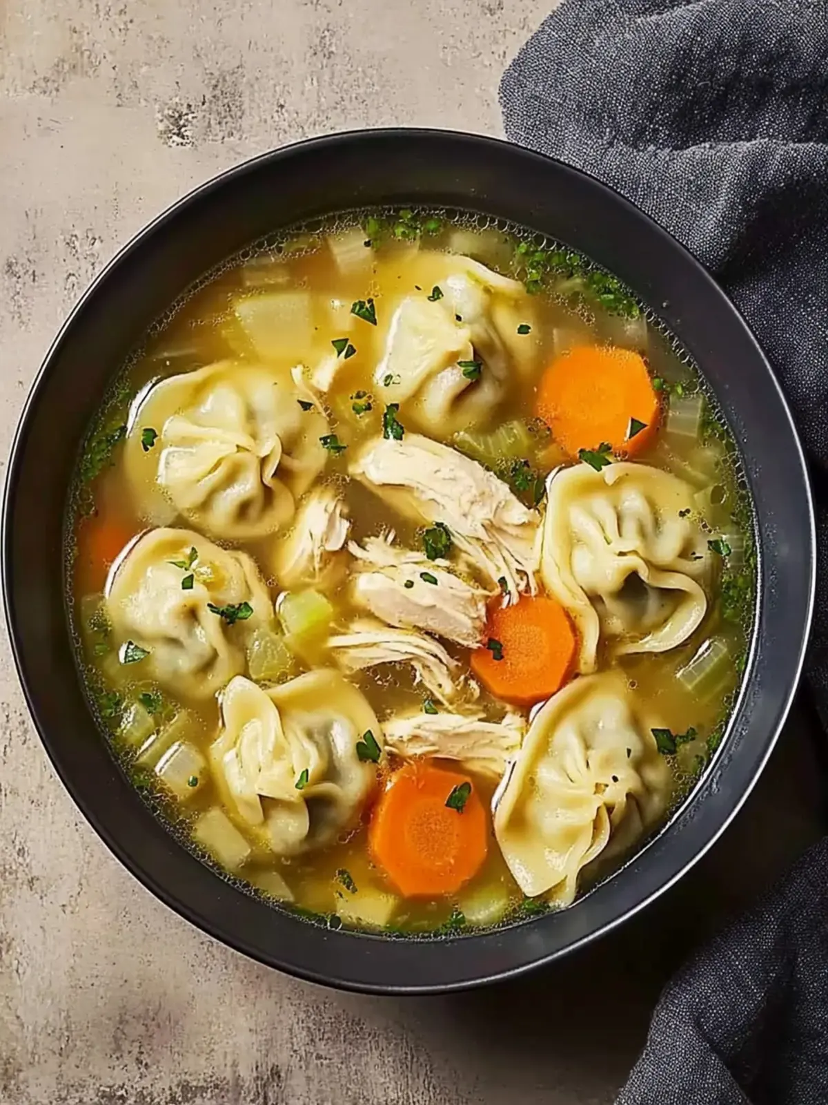 Chicken Noodle Dumpling Soup