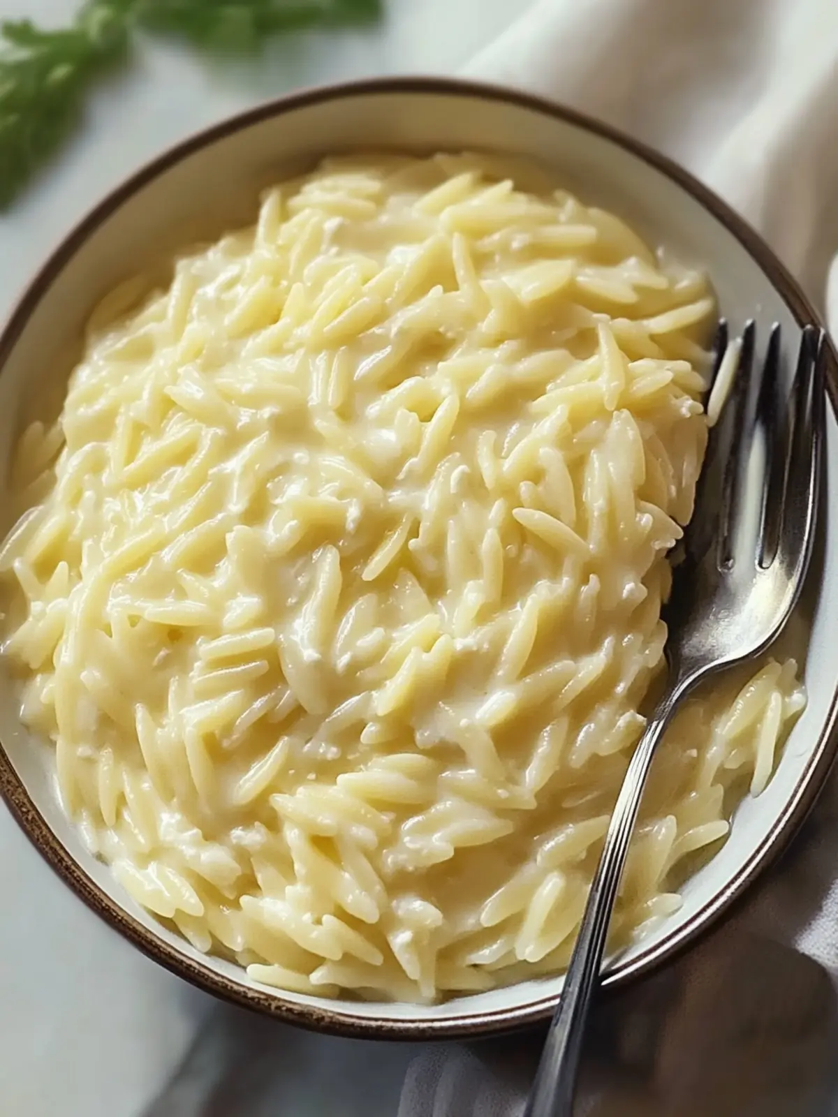 Creamy Cottage Cheese Orzo