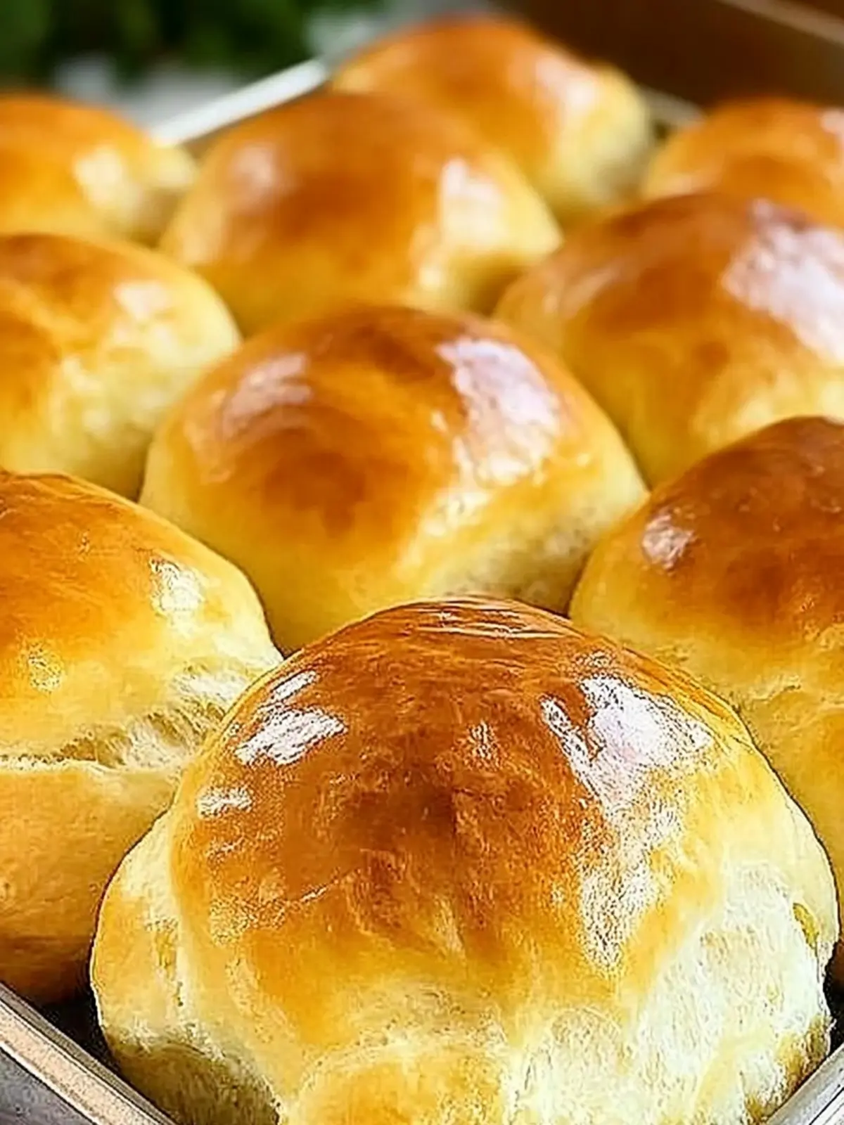 dinner rolls